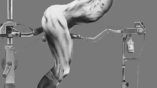 245 bdsm porn videos